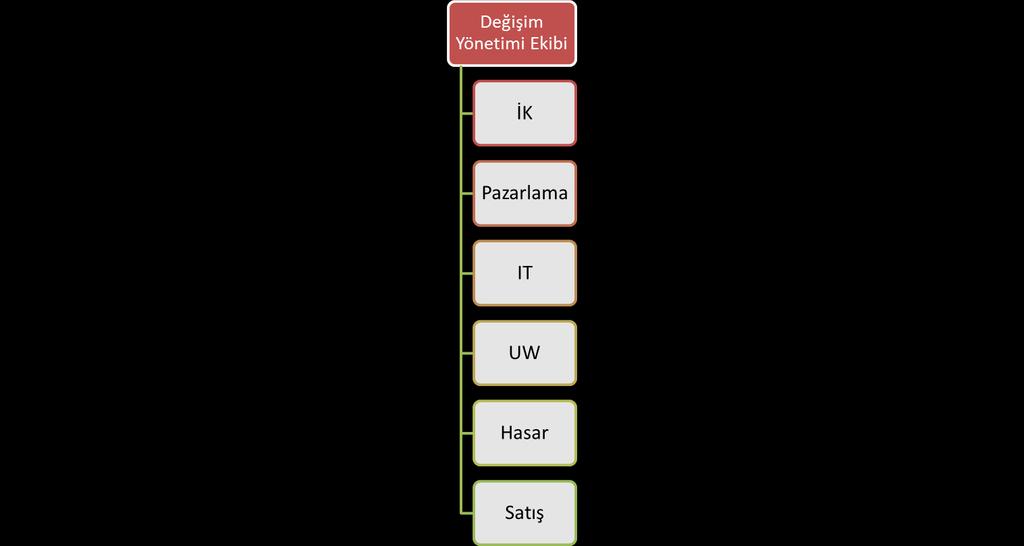 Proje Organizasyonu-II 10 Amaç