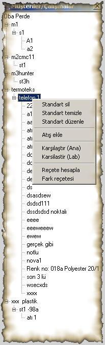 Bu noktada, yapılacak şey, Renk adı kısmına bir isim yazmak ve altındaki 3 seçenekten birini işaretleyip, Kaydet tuşuna basmaktır. Bu 3 seçeneğin görevleri şunlardır.