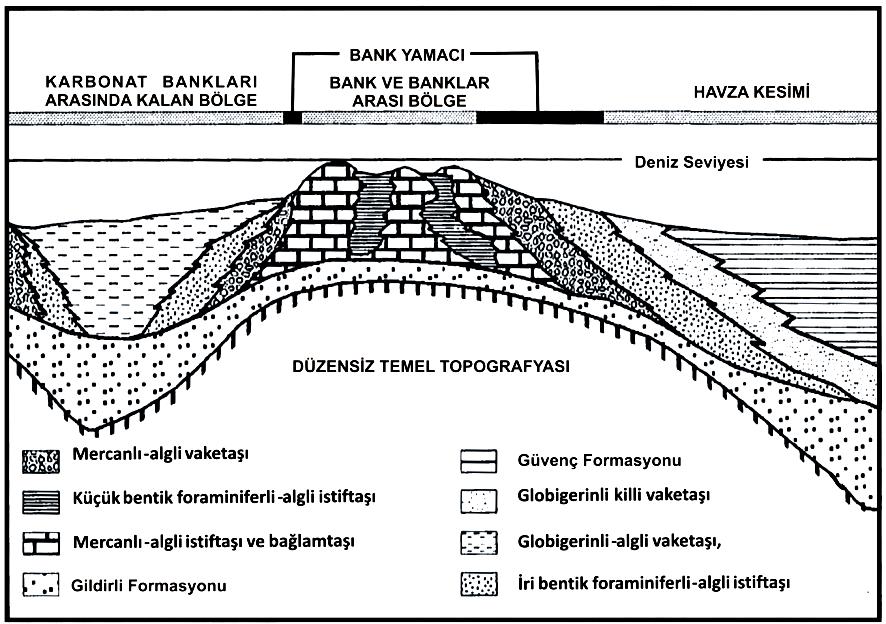 . ġekil 2.5 Karaisalı formasyonunda ayırt edilen fasiyes toplulukları (Görür, 1979) Birim, altta bulunan Kaplankaya formasyonu ve üstte bulunan Cingöz ve Güvenç formasyonları ile geçiģlidir.