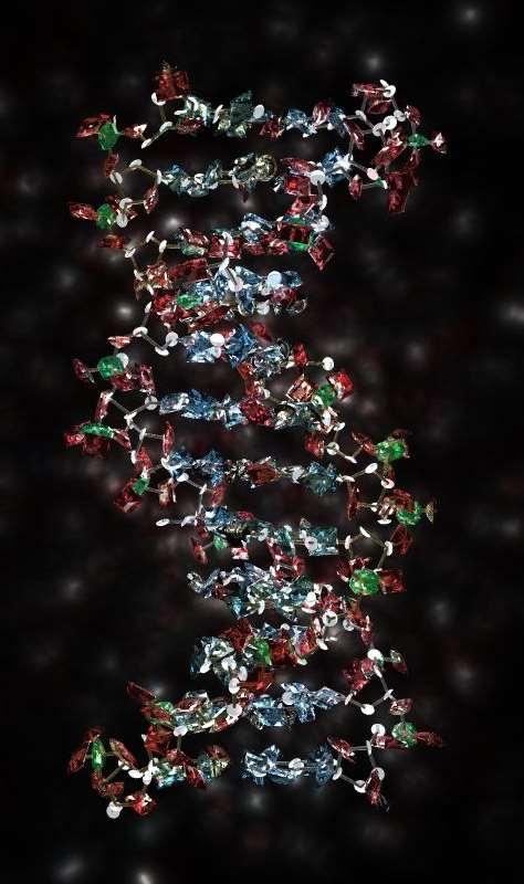 DNA