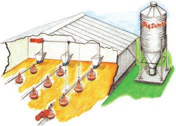 Farklı yemliklerin uygulama alanları Üretim tipi Ağırlık (kg) BIG PAN 330 BIG PAN PLUS MULTI PAN MULTI PAN PLUS Broyler yetiştirme 0-3,5 4 ad libitum 4 kontrollü 4 ad libitum 4 kontrollü Yarka