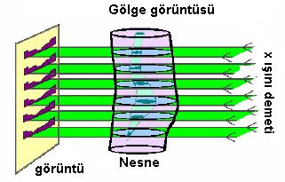 Şekil 2: Paralel x ışını demetine maruz kalan nesnenin gölge görüntüsü (SkyScan Kullanıcı Kılavuzu) X ışınlarının paralel geldiği durumda, iki boyutlu görüntülerden üç boyutlu görüntü, elde edilen