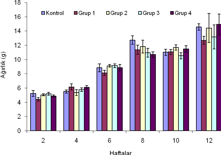 4. BULGULAR VE TARTIŞMA Mahir KANYILMAZ Çizelge 4.2. Grupların Ölçüm Dönemlerine Göre Ortalama Canlı Ağırlık Artış Değerleri (g/balık) Haftalar Kontrol Grubu Grup 1 Grup 2 Grup 3 Grup 4 2.