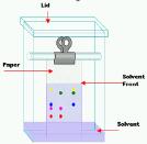 Kağıt kromatografisi (KK) Paper chromatography (PC) Uygulaması en basit olan kromatografi yöntemidir genellikle süzgeç kağıtları (selüloz)kullanılarak yapılır Bu yöntemde kalın bir süzgeç kağıdı