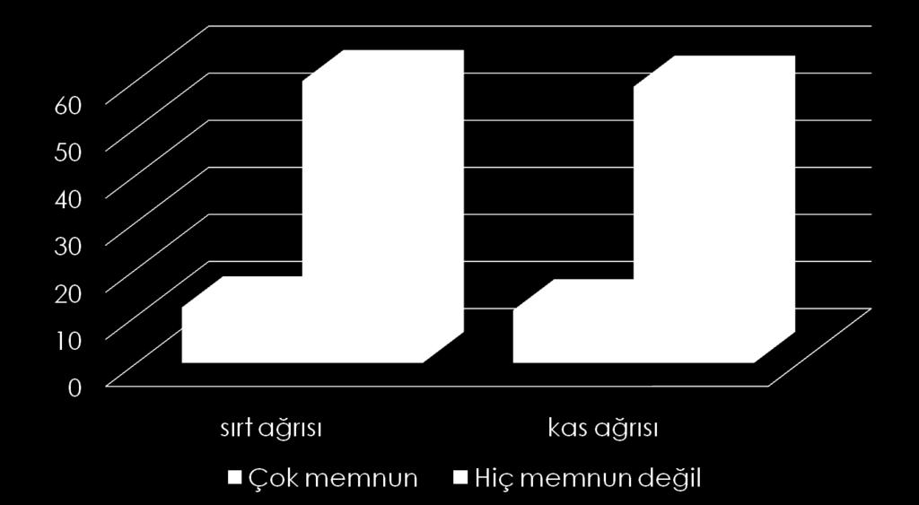 İş Memnuniyeti ile Kas ve