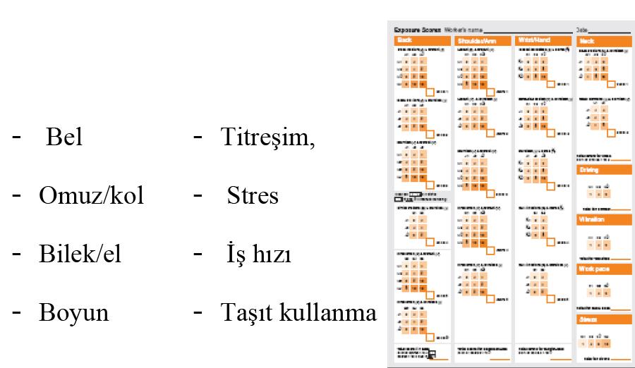 Hızlı Maruziyet