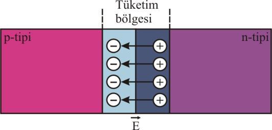 24 diğer epitaksiyel büyütme tekniklerinin yanında, öne çıkmaktadır. Bunun dışında p-n eklemler difüzyon, iyon ekimi ile de oluşturulabilmektedir [48, 50].