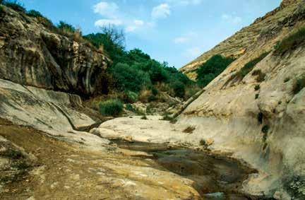 DOĞAL ALANLAR DOĞAL ALANLAR Halfeti Değirmen Dere Rotası Suyun