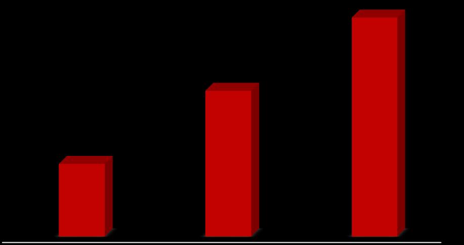 2013 yılında hedefleriniz ne ölçüde gerçekleşti? To what extent have your goals been realized in 2013?