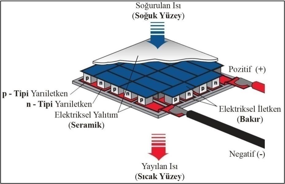 16 Şekil 2.6. TEM ün yapısı [51] Üretim aşamasında belirli bir sayıda