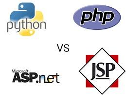 Net, Python, JSP MySQL, MSSQL veritabanları Projeye göre