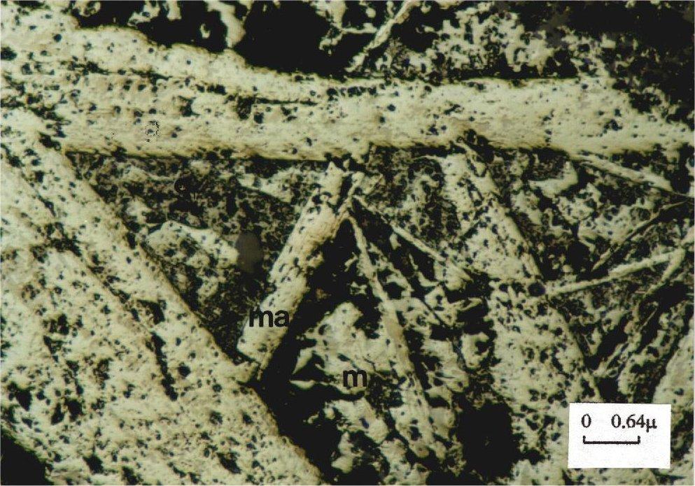 Manyetit Karacaali cevherlerinin hakim minerali manyetittir. Mikroskop incelemelerinde manyetitlerin dokusal olarak üç farkl tipte geli ti i belirlenmi tir.