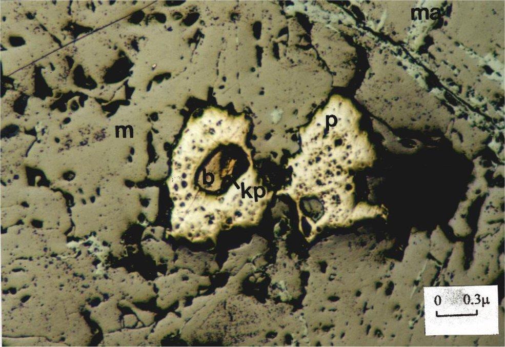 (m: magnetite, p: pyrite, g: gangue, parallel nichols). ekil 7.