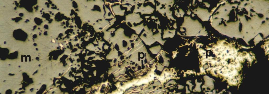Karacaali (K kkale) Demir Cevherlerinin Mineralojik Özellikleri 55 ekil 13. Manyetitler (gri) içinde ince pirit damarc klar (aç k sar ). (m: manyetit, p: pirit, T.N.). Figure 13.