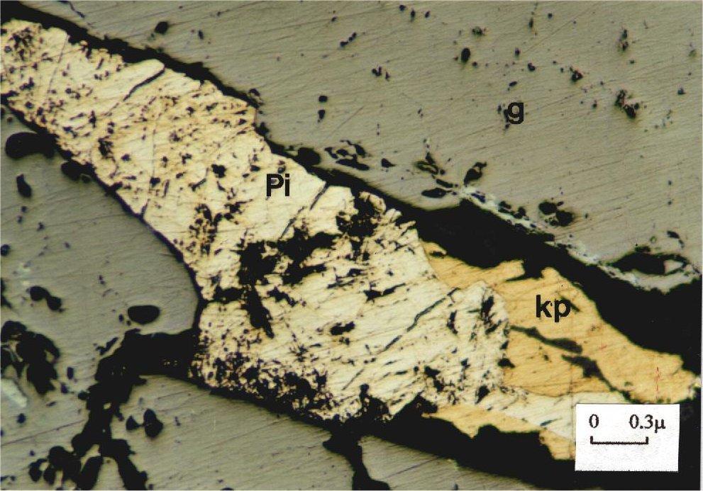 (m: magnetite, kp: calcopyrite, Pi: pyrhotite, g: gangue, parallel (//) nichols). ekil 17. Gang (koyu gri) içinde pirit (aç k sar ) ve kalkopirit (sar ) taneleri.