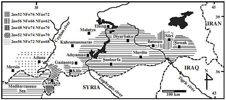 Şekil 6.