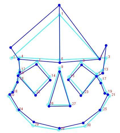 ve 17. Ectoconchion, 18. ve 19. Jugale, 20. ve 21. Zygion, 22. ve 23. Zygoorbitale, 24. ve 25. Zygomaxillare, 26. ve 27. Alare, 28.