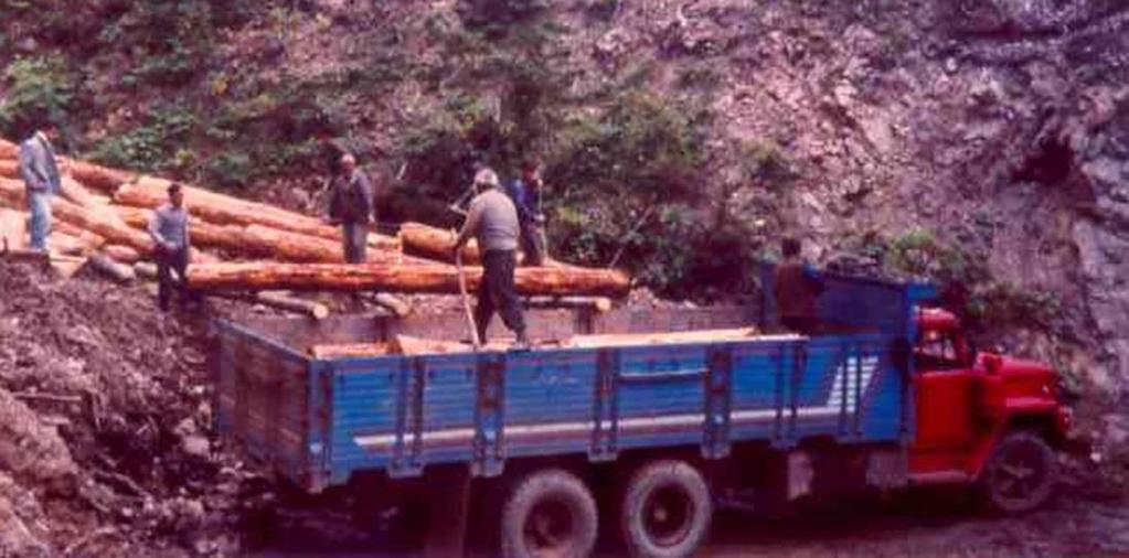 7.1. Orman Ürünlerinin Yollar Üzerinde Taşınması 7.1.1. Genel Bilgiler Türkiye de orman ürünlerinin uzak
