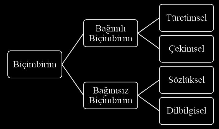 140 Türk İşaret Dili Dilbilgisi Kitabı Şekil 4.2. Biçimbirim türleri. Diğer doğal dillerde olduğu gibi.
