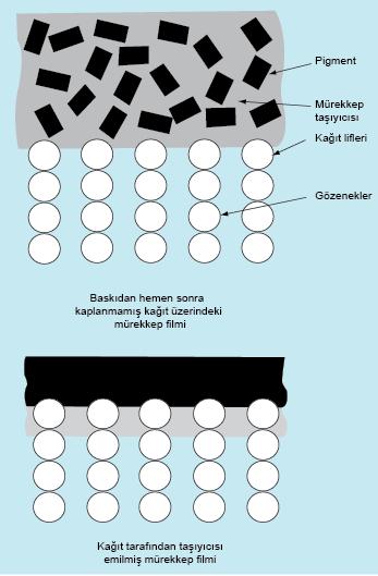 35 yeteneği kâğıdın porozitesine (gözenekliliğine), gözeneklerin büyüklüğüne ve mürekkebin viskozitesine bağlıdır. Viskozite düşük olduğunda penetrasyon daha hızlı gerçekleşmektedir (Şekil 4.4).