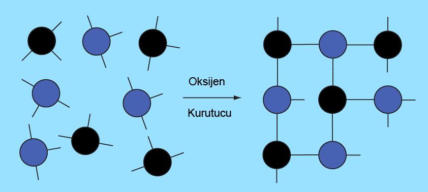 42 Şekil 4.9. Polimerleşme süreci [Lloyd, 2005]