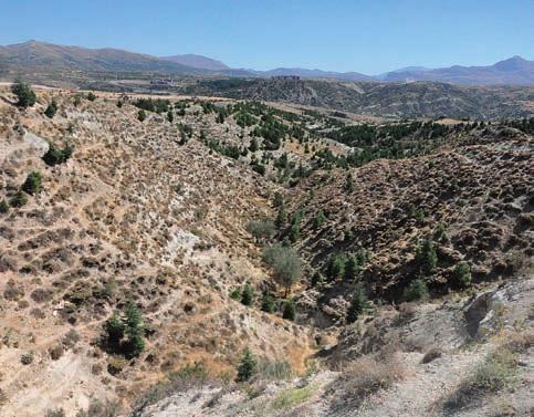 Bu yılki çalışmamız bu köy civarındaki tüm dere yatakları ve çevresindeki yamaçların ayrıntılı olarak taranması şeklinde gerçekleştirilmiştir (Res. 1).