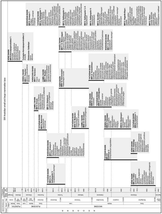 7 Şekil 1. Güney Batı Anadolu daki büyük ve küçük memeli faunaları (Alçiçek, 2010).