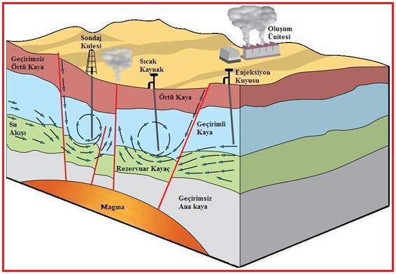 Jeotermal akışkan ise çoğu durumda meteorik sudur ve rezervuarda sıcaklık ve basınca bağlı olarak buhar veya sıvı haldedir. Bu su genellikle bazı kimyasal maddeler ve gazlar (CO2, H2S gibi) içerir.
