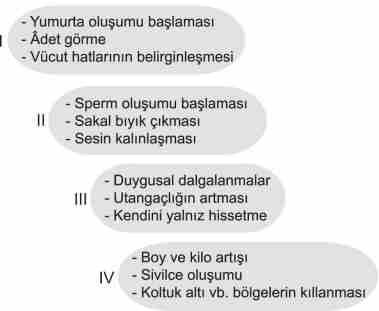 Ergenlik dönemindeki bireylerle yapılan bu araştırmaların sonuçları incelendiğinde I. Spor faaliyetlerine katılan kız öğrencilerin boy ve kilo artışı her zaman erkek öğrencilerden daha yüksektir. II.