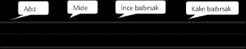 Sindirim Sistemi Etkinlikleri 8 Yanda üzerinde besinl taşıya arabalar sindirime uğradıklrı organlarda durup mola veriyorlar.