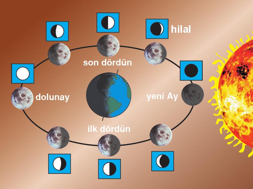 Dünya etrafına önerken, Dünya nın tek oğal uyusu olan Ay a Dünya nın etrafına elips bir yörüngee olanaktaır. 1. Ay, 'ten alığı ışığı yansıtır, kenisi ışık ve ısı kaynağı eğilir.