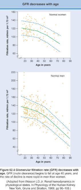 Fonksiyonel Değişiklikler Golmeruler Filtrasyon Zamanla böbrek fonksiyonları azalır Yaşla kas