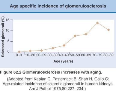 Glomeruler Değişiklikler Doğumda % 5 in altında olan