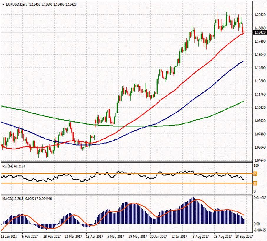 EUR/USD ikinci direnci 1.19773 1.21053 1.19767 ilk direnci 1.19043 1.19127 1.18723 1.18077 ilk desteği 1.17757 1.17033 1.