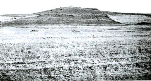 Resim 75: Yeniköy/Gavur Höyük yerleşmesi genel görünümü (Koşay, 1976a:100). Höyük, Keban Barajı Kurtarma Kazıları kapsamında 1972 yılında H.Z.Koşay başkanlığında 1 sezon kazılmıştır.