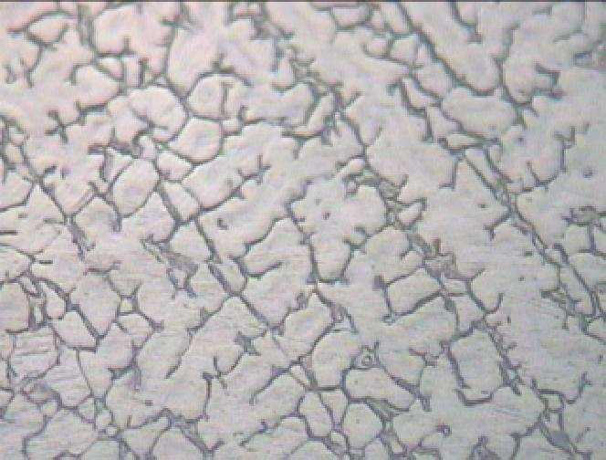 Ostenit (γ) δ-ferrit Şekil 6.13 : Ostenitik paslanmaz çeliklerin kaynak metalinde oluşan δ-ferrit (Bos, 2007).