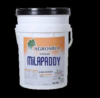 MİLAPADDY 15.0.