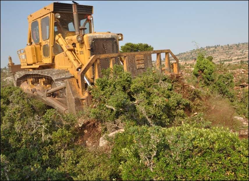 Örtü temizliğinde 120-160 beygir gücünde Paletli Traktör+ Tarak kullanılır ve çalışma eğim aşağı gerçekleştirilir.