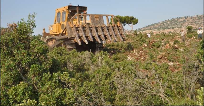 Kurak ve yarı kurak bölgelerde su rekabetini önlemek için kökleme yapılmalıdır. 1. 2. ve 3.