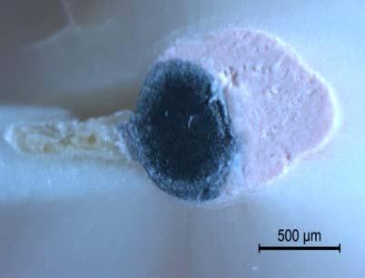 µm X8; 200 µm Şekil