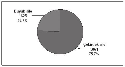 Toplumsal Yapı ve Aile Aile yapısıyla ilgili bir başka tespit, katılımcıların kendi ailelerini nasıl tanımladıklarıdır.