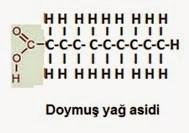 Yağ asitleri Yapısında çift bağ bulundurmasına göre, Doymuş yağ asitleri Doymamış yağ asitleri Tekli doymamış y.a. Çoklu doymamış y.