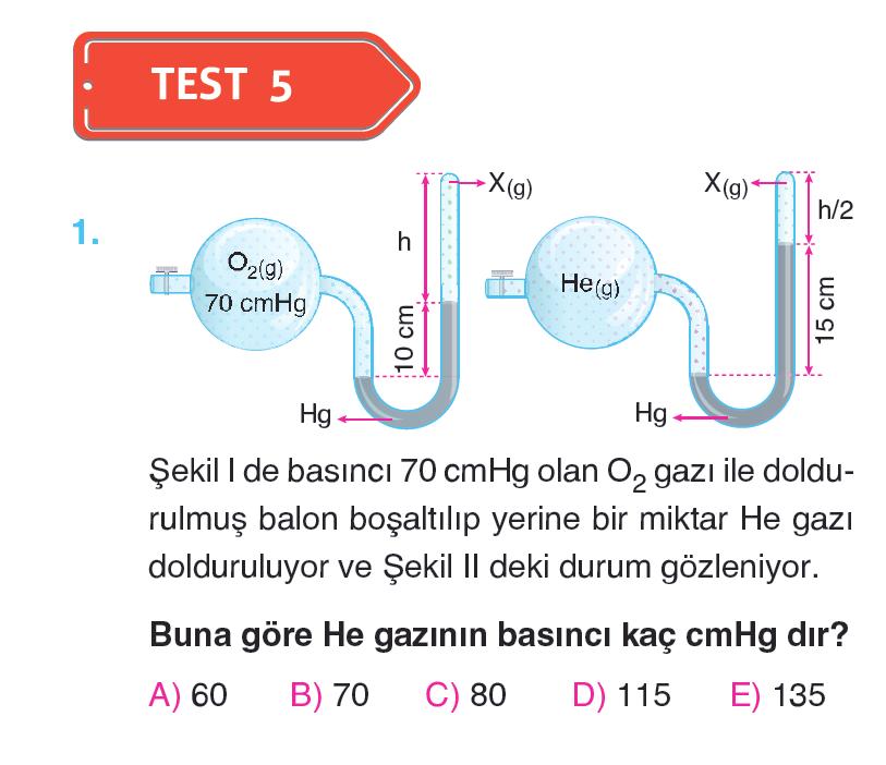 örnekler Temel Düzey