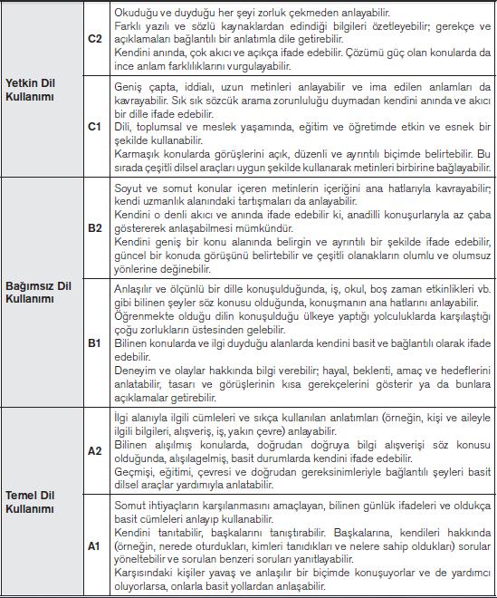 Şekil 3 de verilen dil seviyelerinin kapsamı Tablo 1 de basitçe verilmektedir.