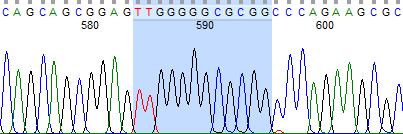 3.2.1 POMC geni ekzon bölgesi ile ilgili bulgular Giriş kısmında belirtildiği gibi, bazı sığırlarda 12 bp uzunluğunda bir delesyonun olduğu ve bu delesyon