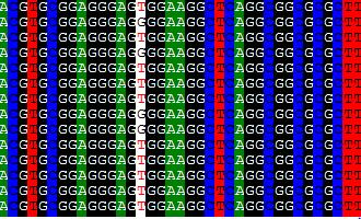 26 da POMC geni ikinci SNP noktaları görülmektedir. 2.