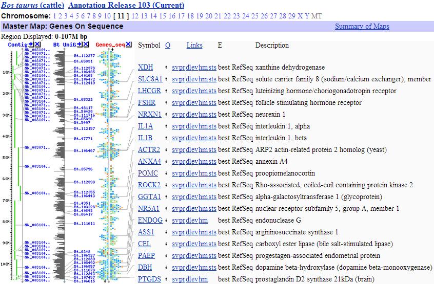 ġekil 3.29: POMC geni kromozom özeti (http://www.ncbi.nlm.nih.gov/gene?cmd=retrieve&dopt=full_report&list_uids=28 1416) Erişim tarihi: 18/03/2014 ġekil 3.
