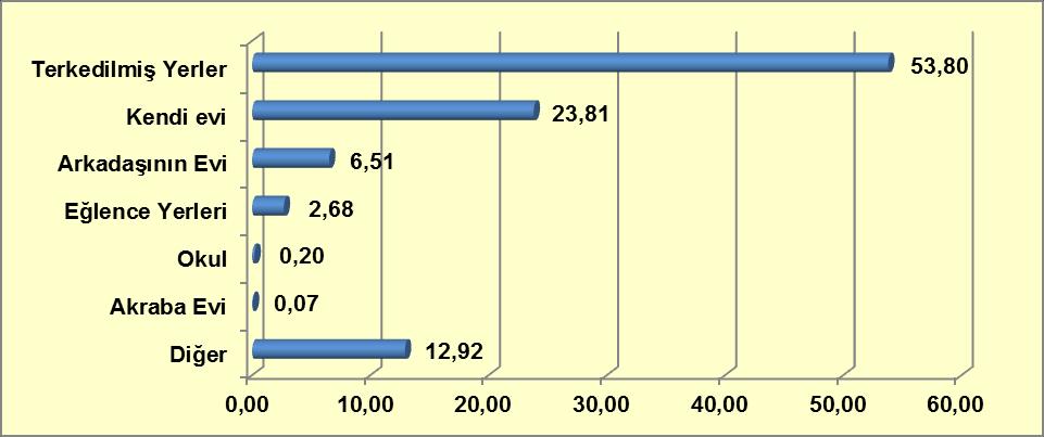 Bunları aile sorunları (%11,23) ve kişisel sorunlar (%10,92) takip etmektedir.