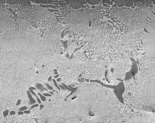 Results Microstructural Investigations