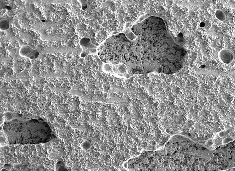 SEM 200 µm pores 3 mm